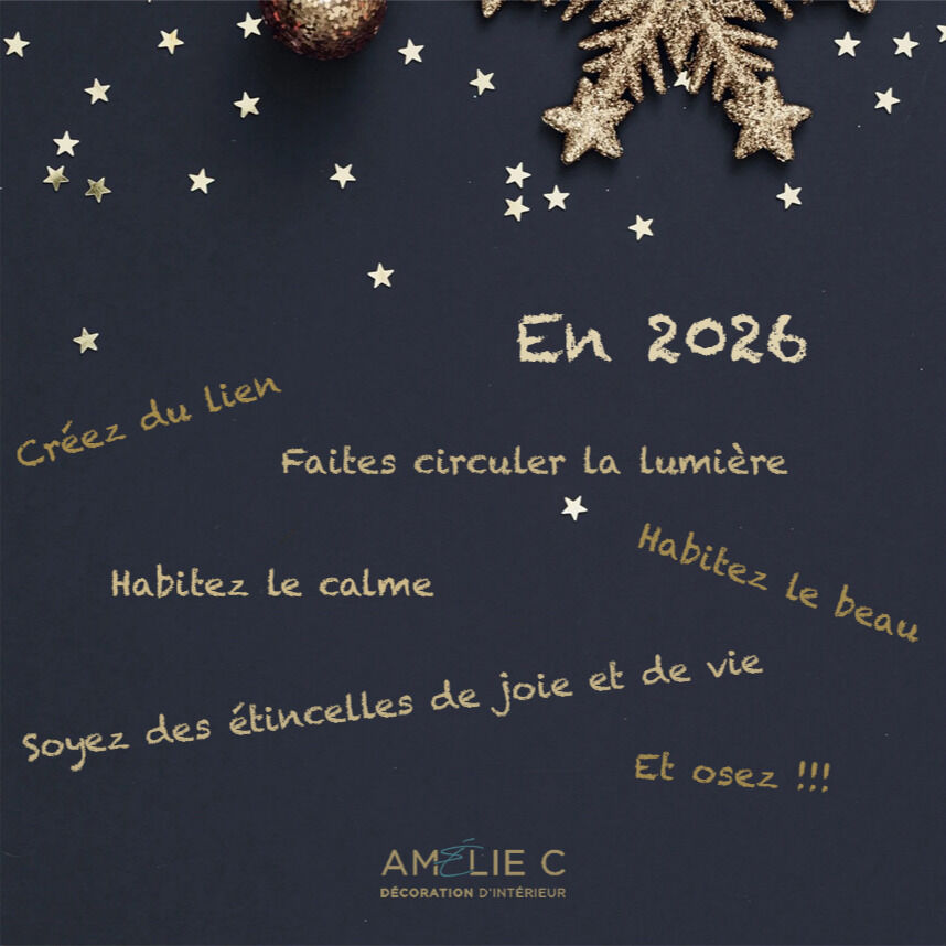 Je vous souhaite à tous une très belle année 2026 ! La santé avant tout et…
